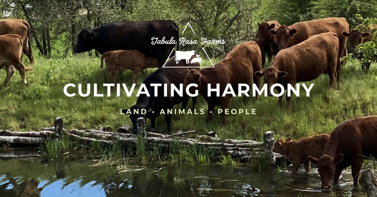 Contact Oregon Grassfed Beef Pork For Sale Near Me Portland OR