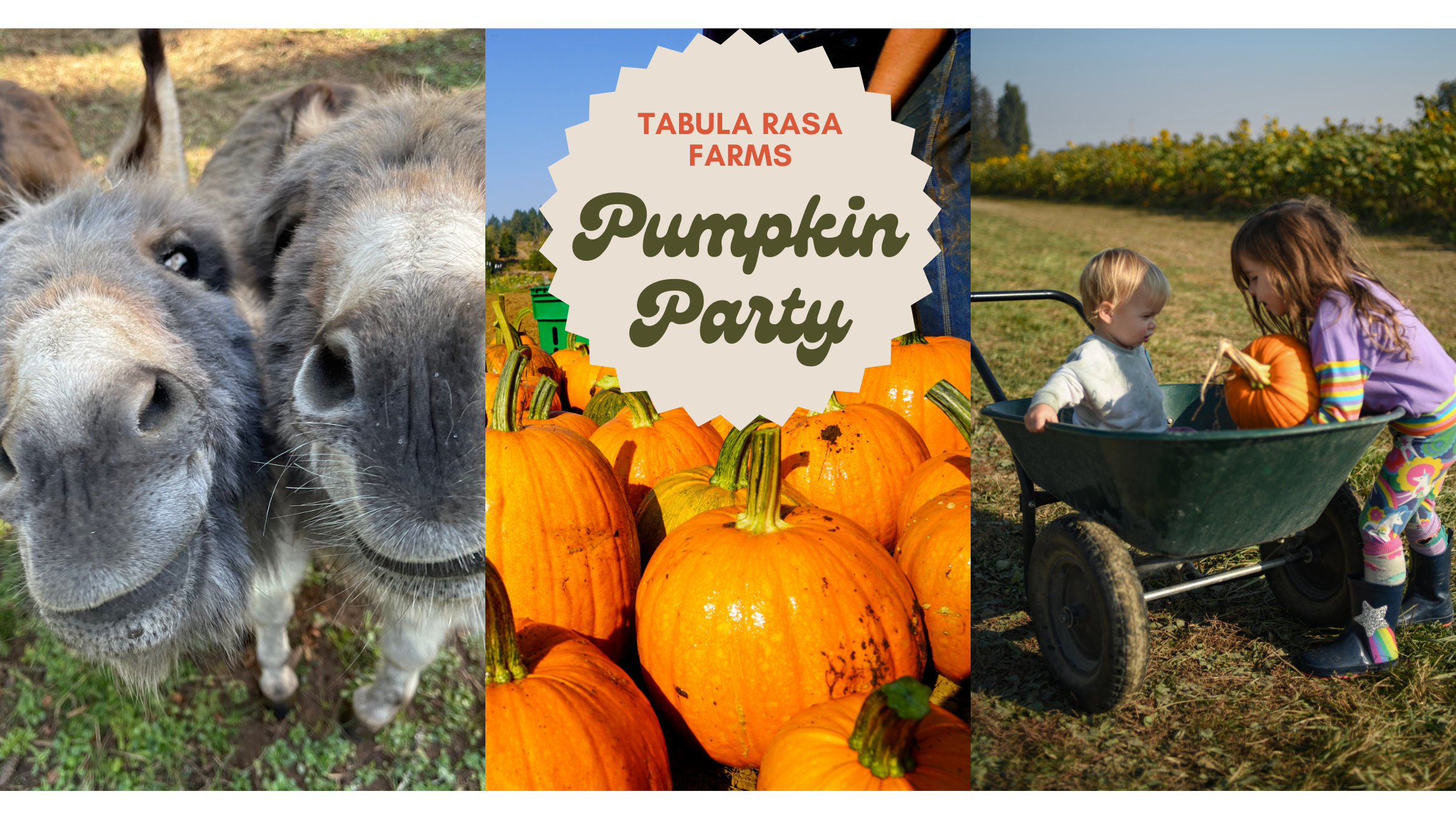 Pumpkin Party (Website)